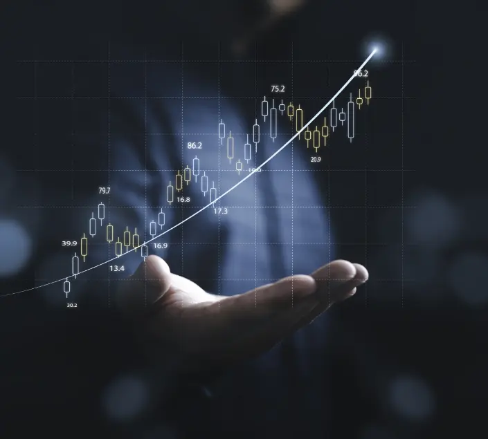 Ecostore grows to market with NetSuite